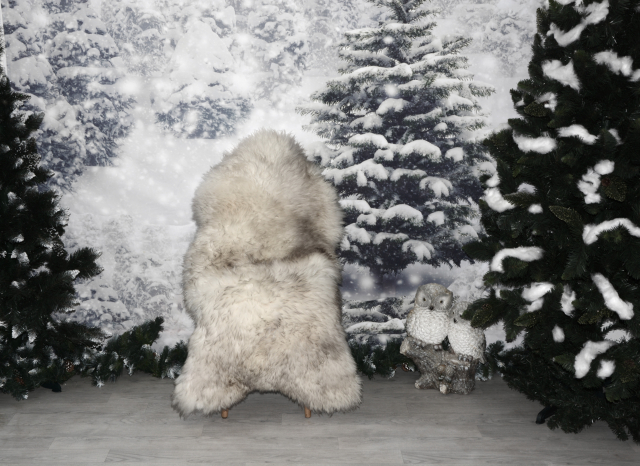 Echtes Lammfell Mufflon Anthrazit (öko) – B-Ware
